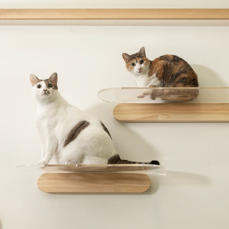 取り寄せ MYZOO マイズー OBLONG オブロング サイズ M（60cm）/L