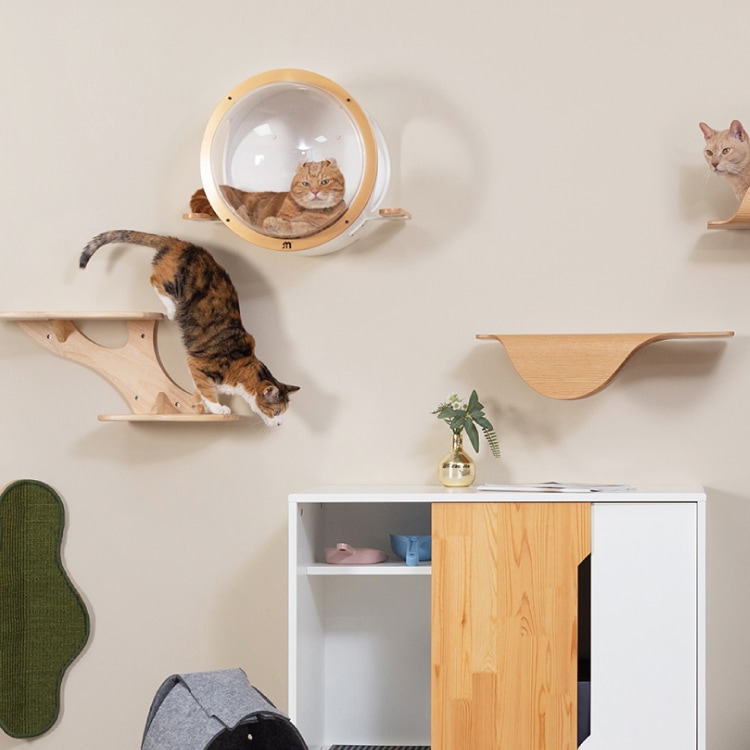 取り寄せ MYZOO マイズー 潜水艇 OCEAN ROVER オーシャンローバー