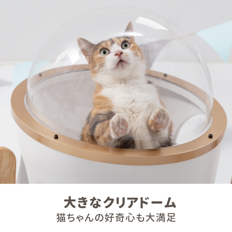 取り寄せ MYZOO マイズー 潜水艇 OCEAN ROVER オーシャンローバー