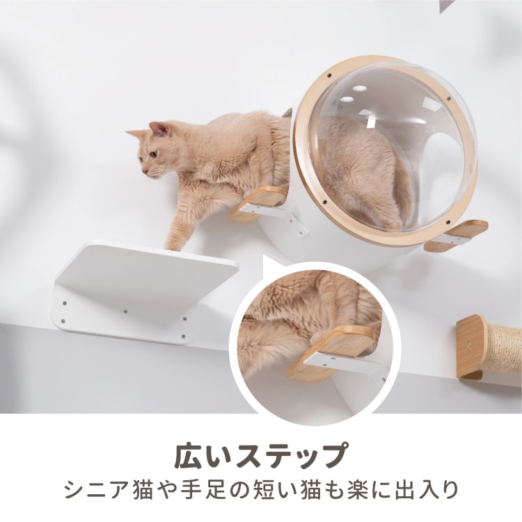 取り寄せ MYZOO マイズー 潜水艇 OCEAN ROVER オーシャンローバー
