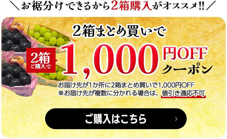 2箱以上ご購入で1,000円OFF】ぶどう シャインマスカット ナガノ