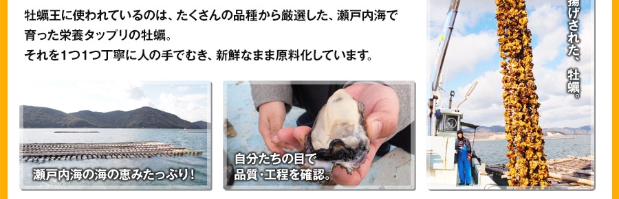 牡蠣王に使われているのは、たくさんの品種から厳選した、瀬戸内海で育った栄養タップリの牡蠣。それを１つ１つ丁寧に人の手でむき、新鮮なまま原料化しています。