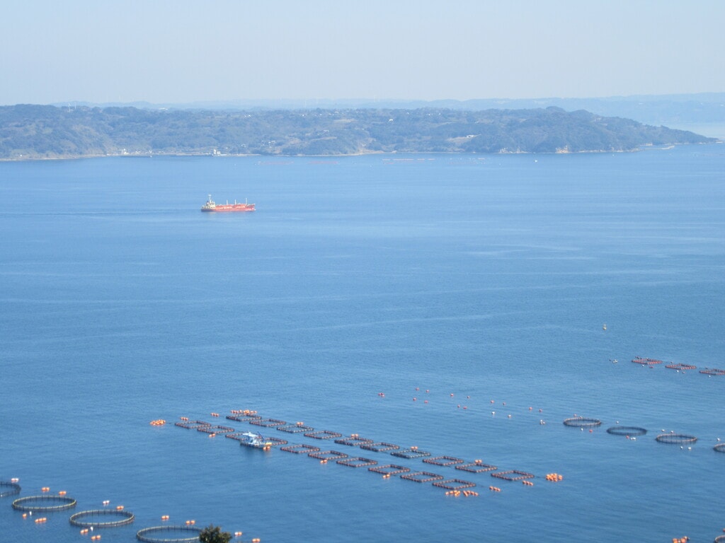 松浦の海