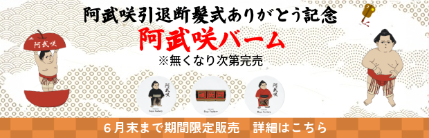 襳С