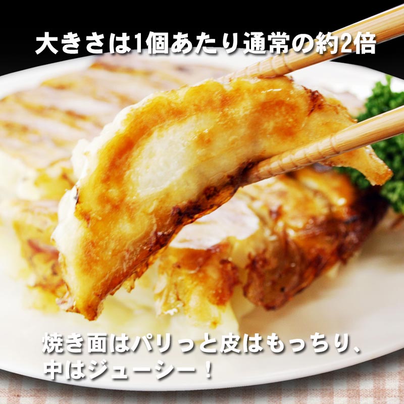 おおみやジャンボ餃子のお取り寄せ・通販 | 餃子のヨコミゾWEB本店