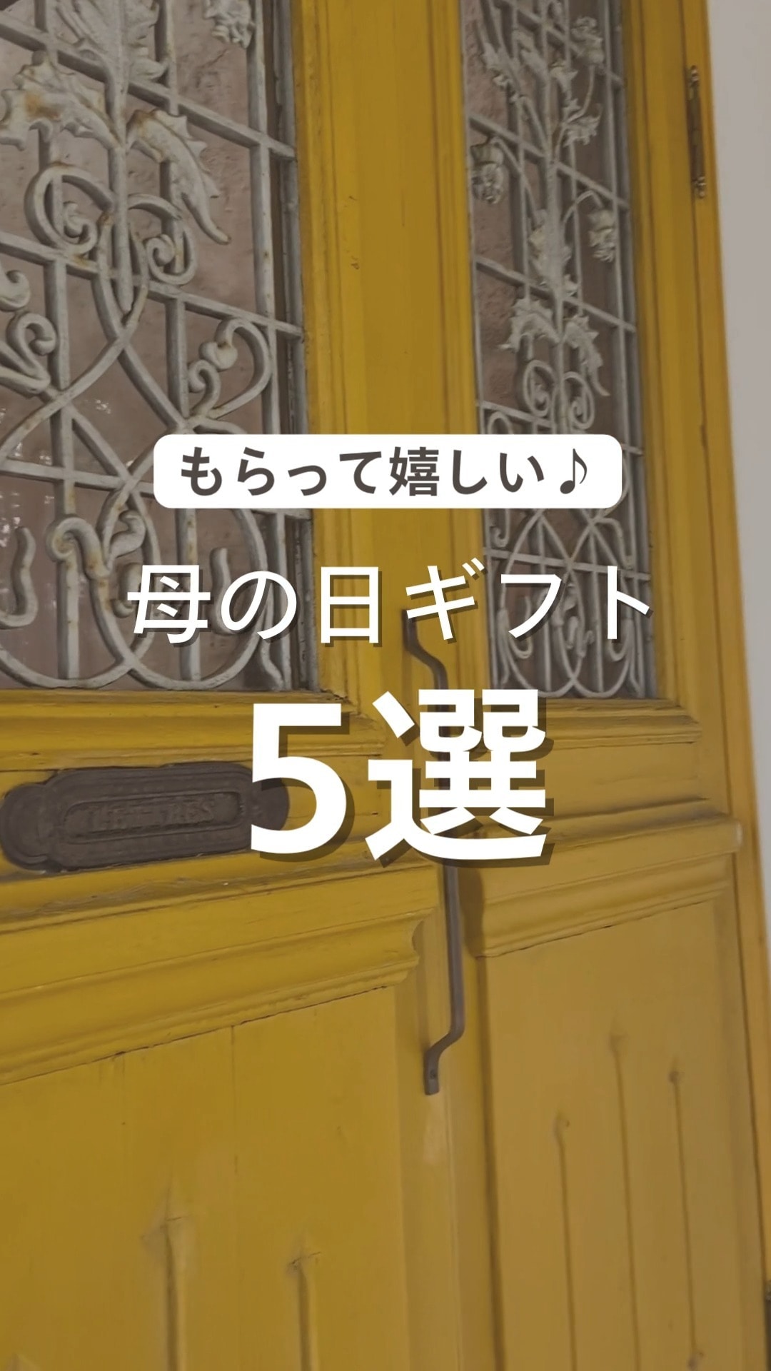ヨークスオンライン本店 ｜ 手袋と服飾雑貨の専門店