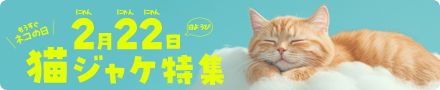 猫ジャケ特集