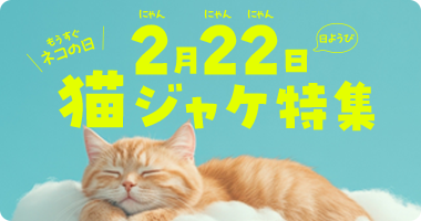 猫の日特集