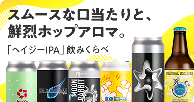 Discovery：ヘイジーIPA 6本セット