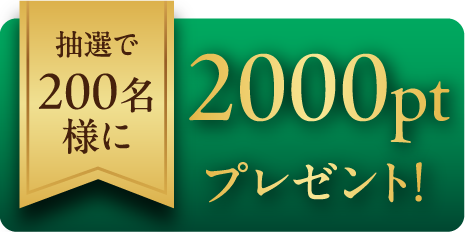 2000pt�ץ쥼���