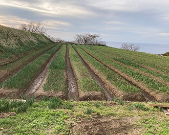 �庬�ο����դ����դ�����