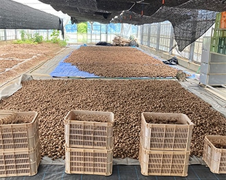 �庬�δ��硦�ݴ�