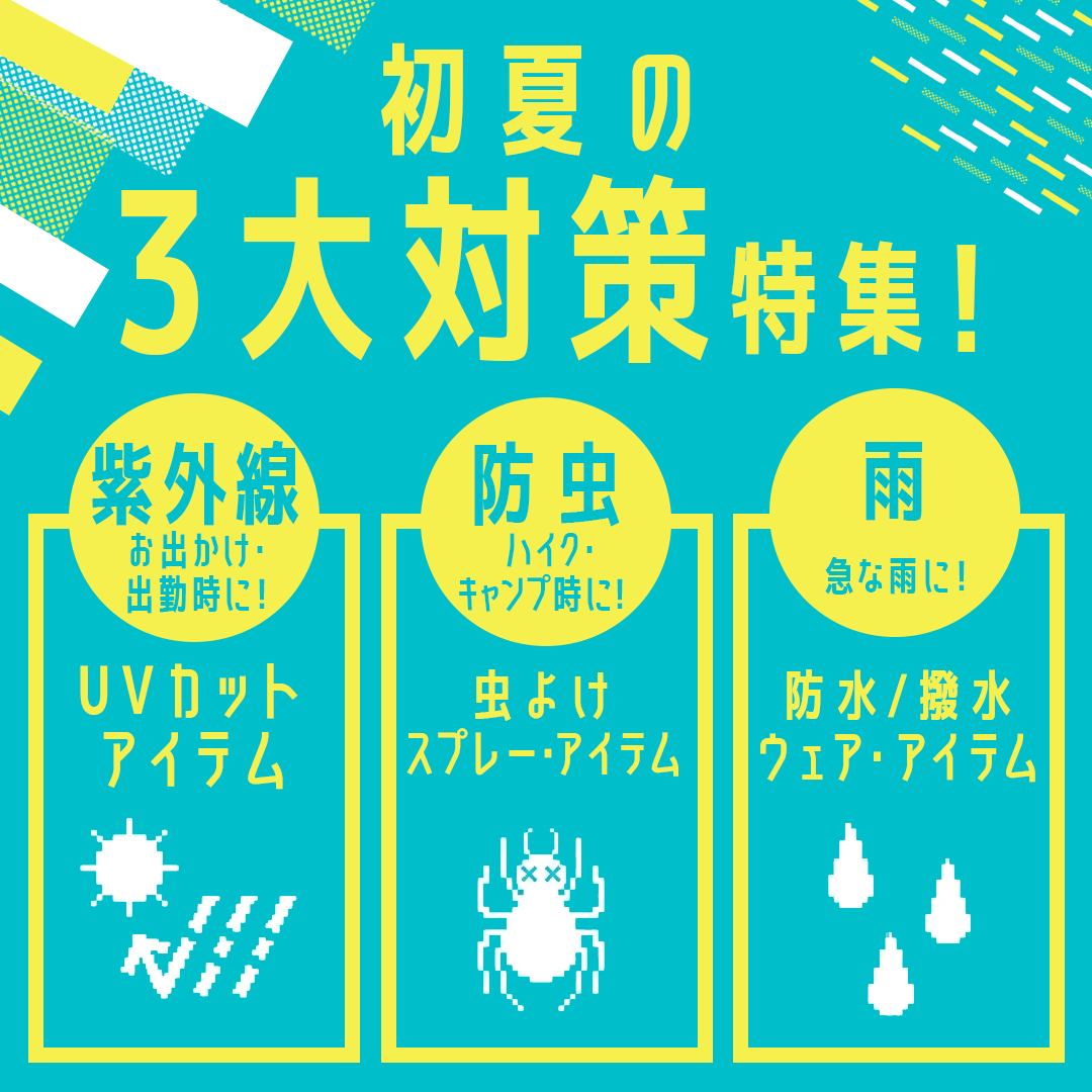 初夏の3大対策