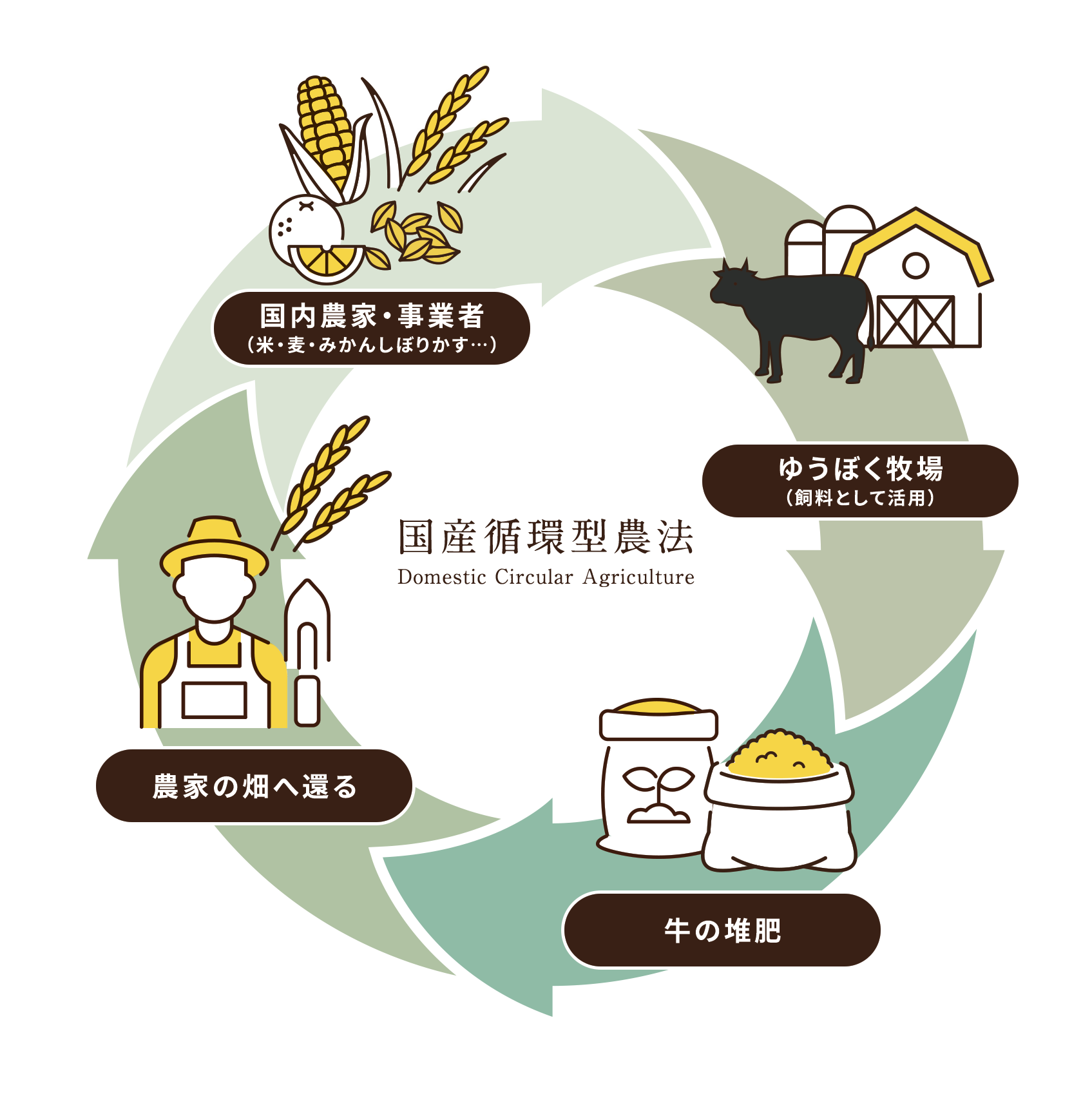 循環