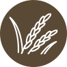 米