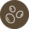 大豆