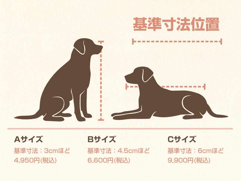 ライト版サイズ一覧