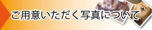 写真についての注意事項