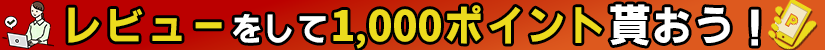 レビューでポイントプレゼント