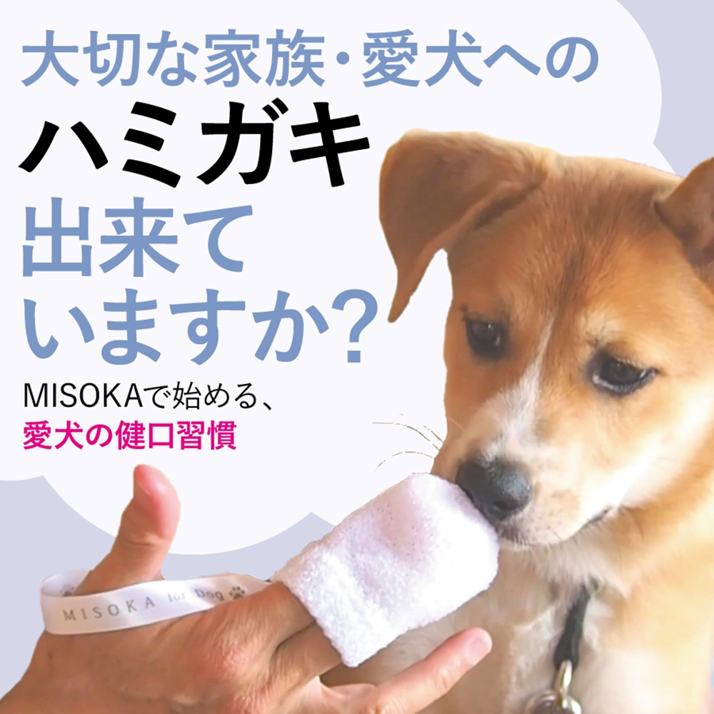MISOKA for Dog2021_LP01