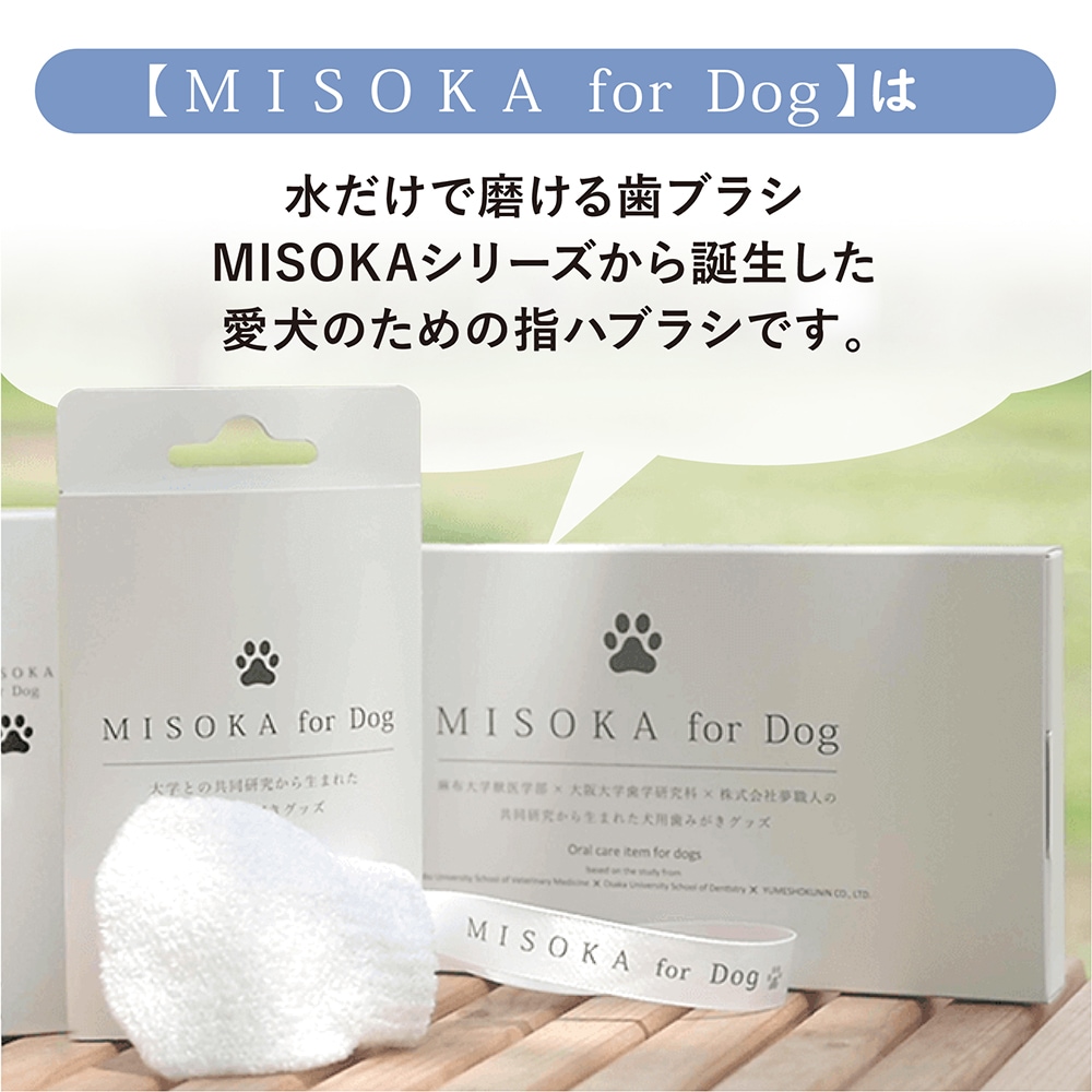 MISOKA for Dog2021_LP04