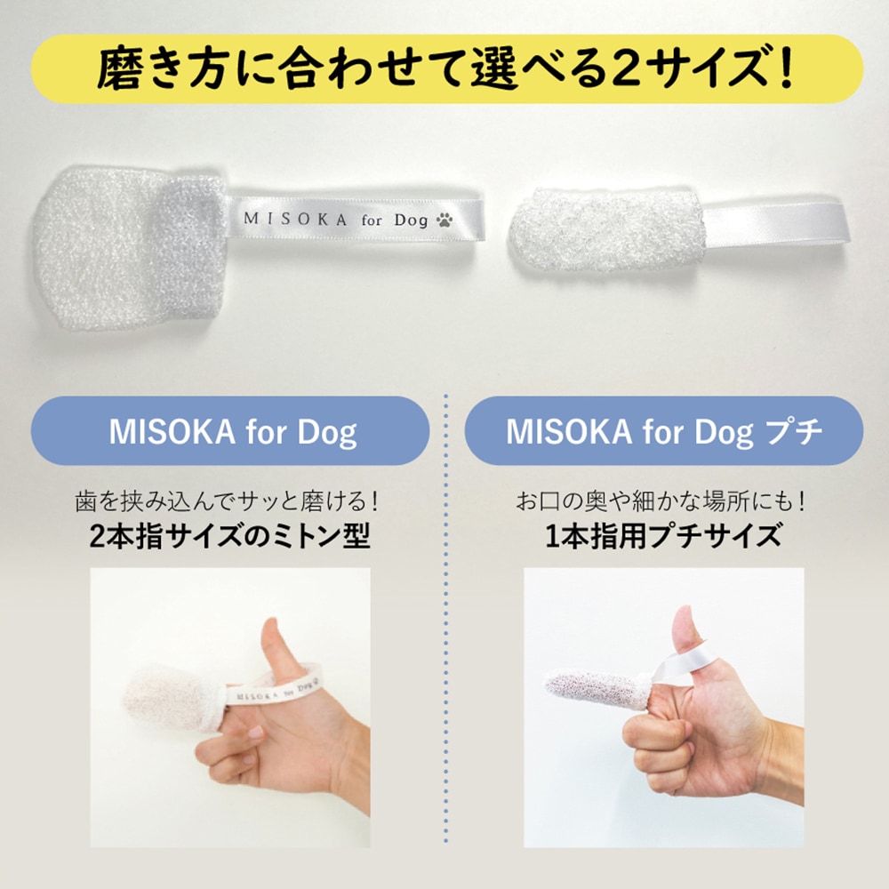 MISOKA for Dog2021_LP09