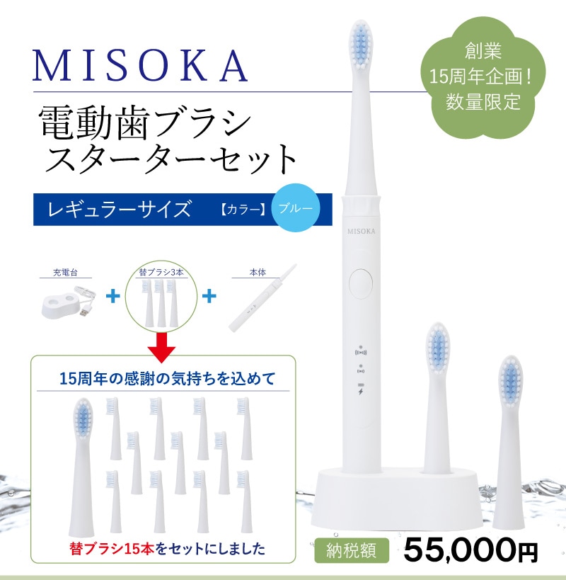 MISOKAふるさと納税返礼品 電動歯ブラシ レギュラー