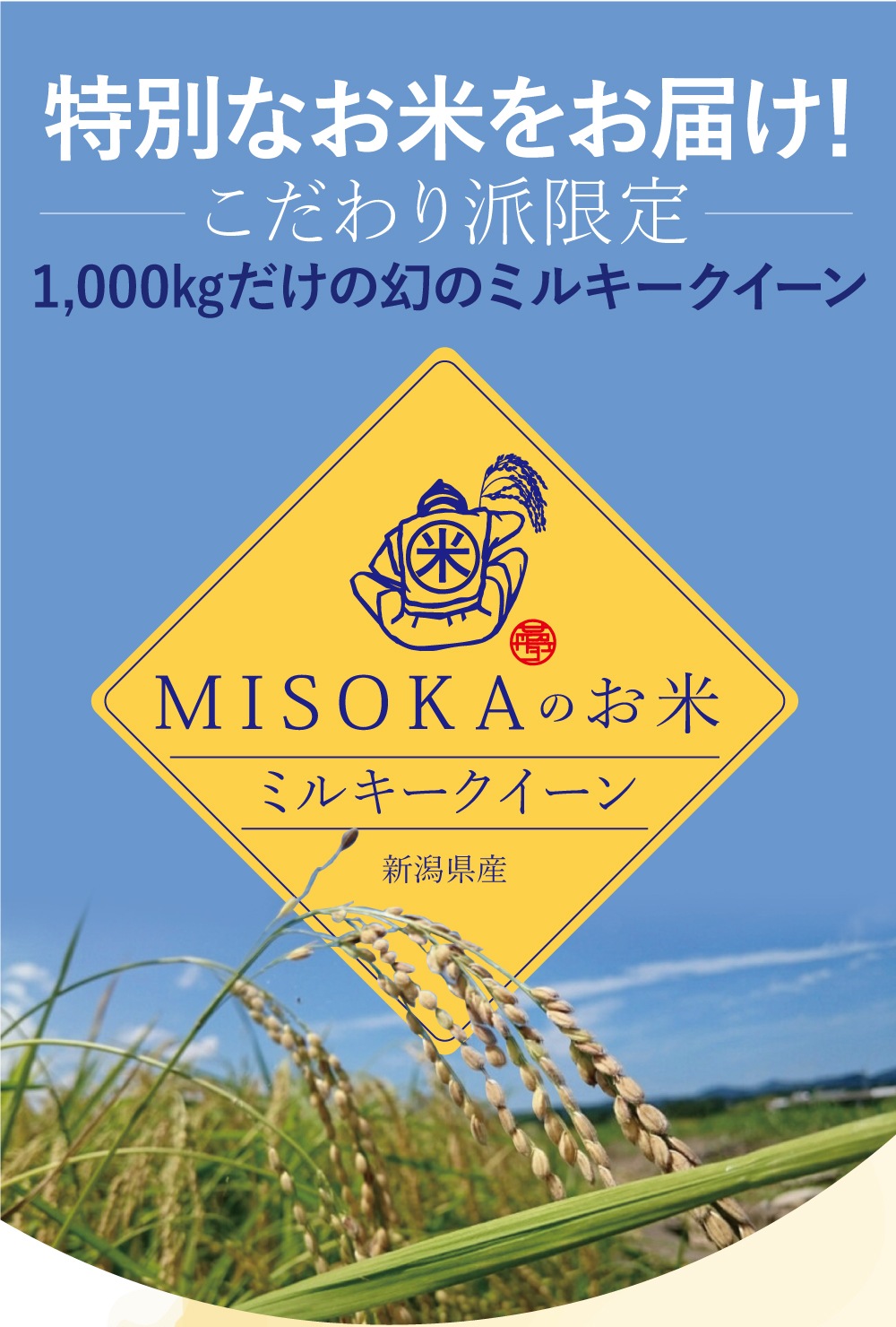 MISOKAのお米01