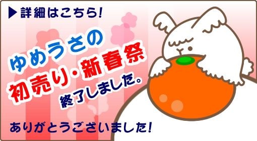 うさぎ専門店】ゆめみるうさぎ｜札幌 うさぎ用品販売 ペットショップ