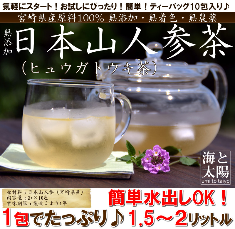 おいしいものショップ「海と太陽」の日本山人参茶（ヒュウガトウキ茶）です。