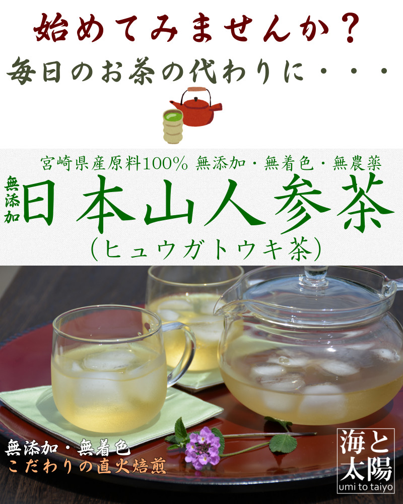 日本山人参茶（ヒュウガトウキ茶）をいつものお茶に代えてみませんか。