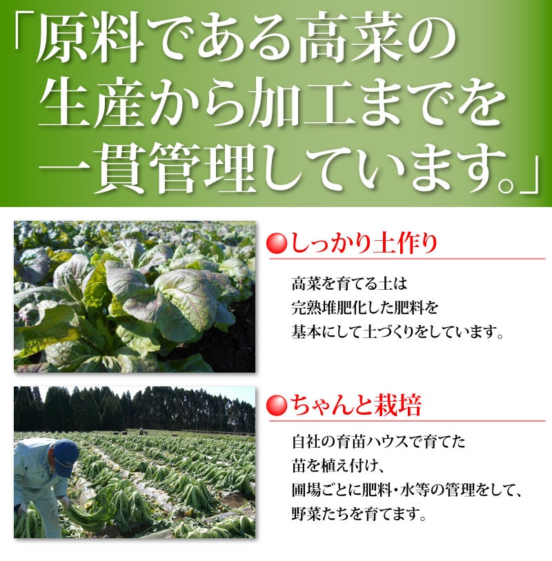 宮崎県児湯郡産高菜漬け土作りから