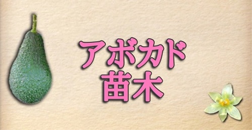 アボカド品種の選び方 各品種の特徴一覧