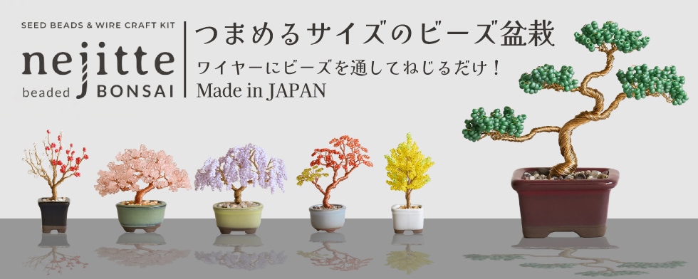 �ӡ������å�:�ͥ��å��ߺ�