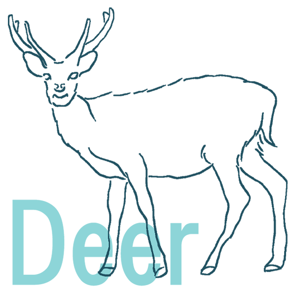 DEER����