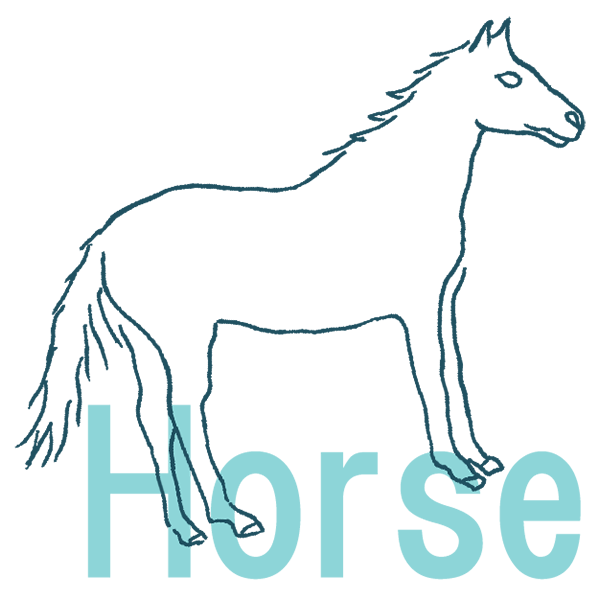 HORSE����