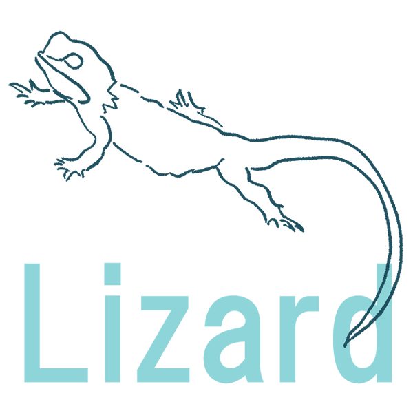 LIZARD���ȥ���