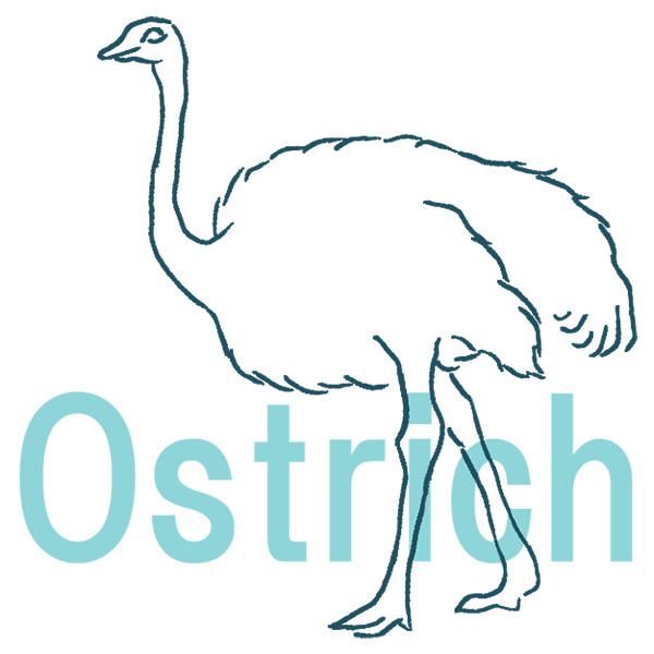 OSTRICH�������祦