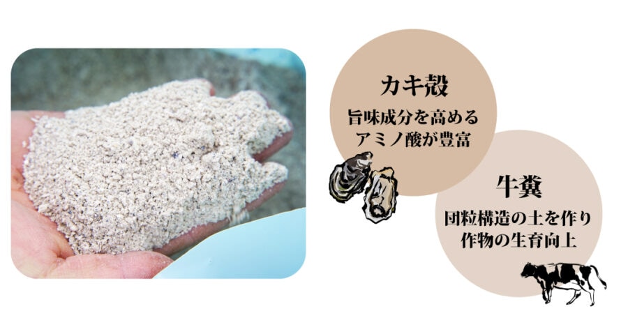 然の膳米