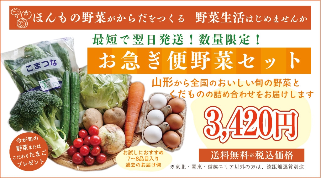 最大5万円OFFクーポン！ りこ樣 野菜セット 卵 - 通販 - www.lmsaude