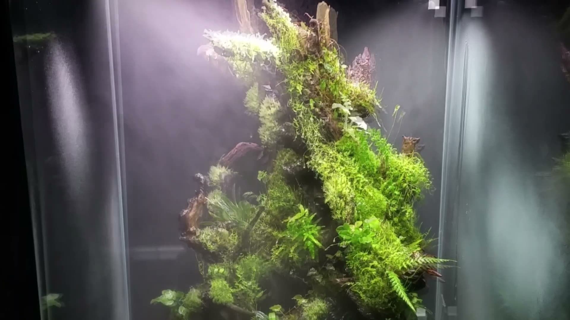Foresta 1000 フォレスタ ミスティングシステム zeroplants ミストシステム ミスティングシステム - フォレスタ