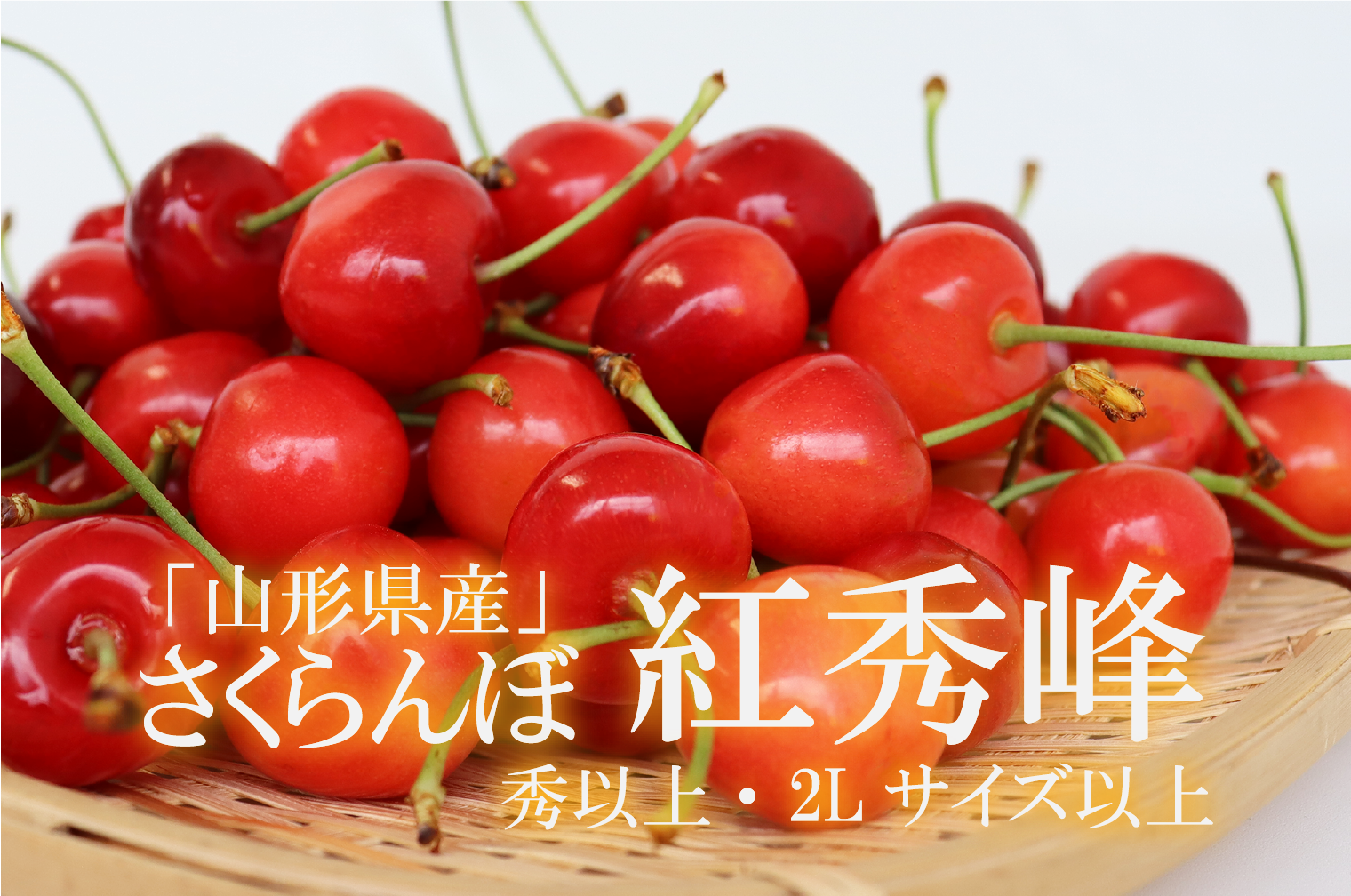 青森県津軽産 紅秀峰 ２l L 1箱300gバラ詰め 商品画像は500ｇ 2パックです 食